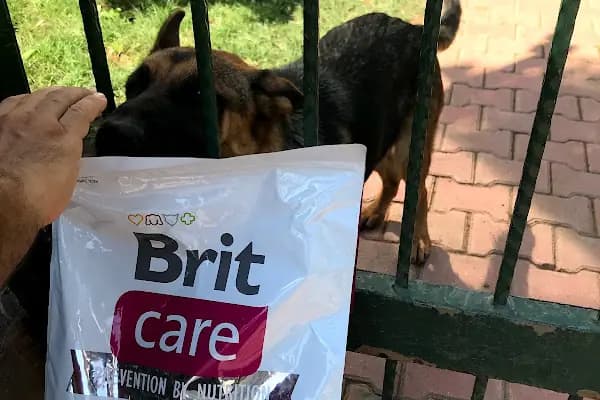 Lara Pet Center - Evcil hayvan mağazası - Antalya Muratpaşa