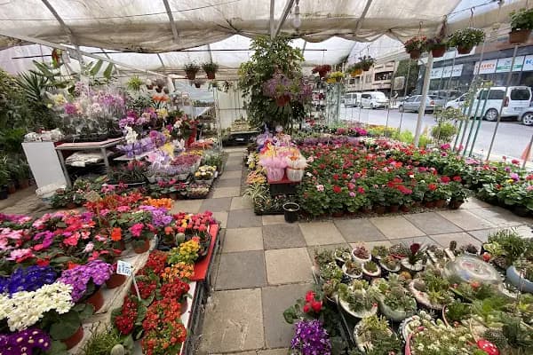 Floral Garden Çiçek &amp; Çikolata - Çiçekçi - Sakarya Adapazarı