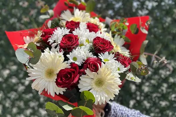 Etimesgut Asya Çiçekçilik - Çiçekçi - Ankara Altındağ