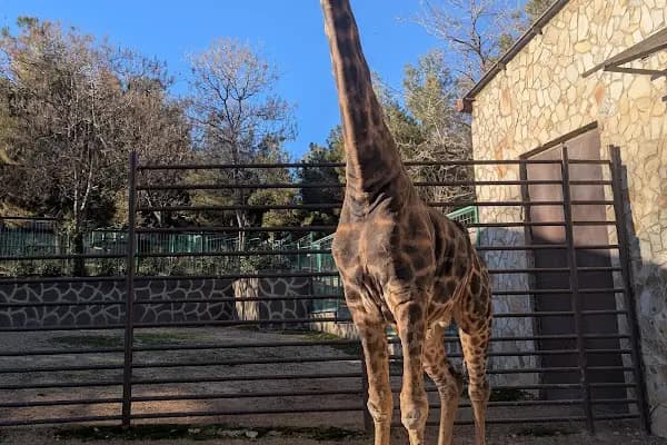 Hayvanat Bahçesi Zoo - Hayvanat Bahçesi - Gaziantep Şehitkamil