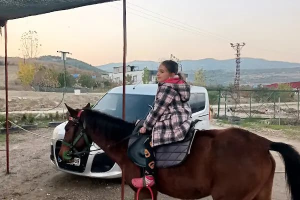 Kürk at binme merkezi Burak yüksel - Tarım Kuruluşu - Mersin Akdeniz