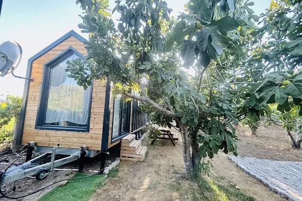 Dikili ZeyTiny House - Kamp Alanı - İzmir Menderes