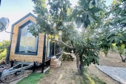 Dikili ZeyTiny House