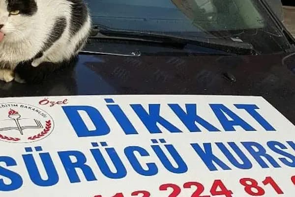 Özel Dikkat Sürücü Kursu - Sürücü Kursu - Diyarbakır Bağlar