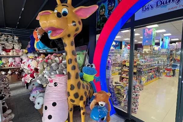 Liva Toys Cağaloğlu - Oyuncak mağazası - Samsun Atakum