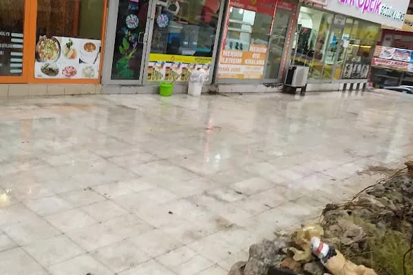 Mercan Akvaryum - Evcil hayvan mağazası - Mardin Nusaybin
