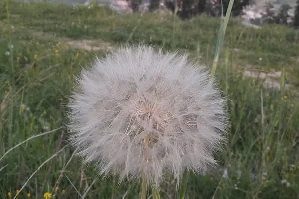 Çocuk Parkı - Park - Adana Çukurova