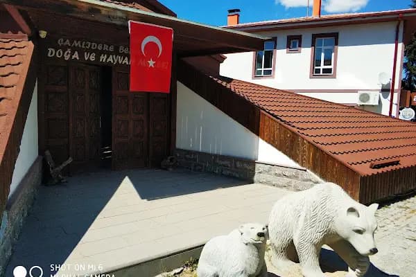 Doğa ve Yaşam Müzesi - Müze - Ankara Çamlıdere
