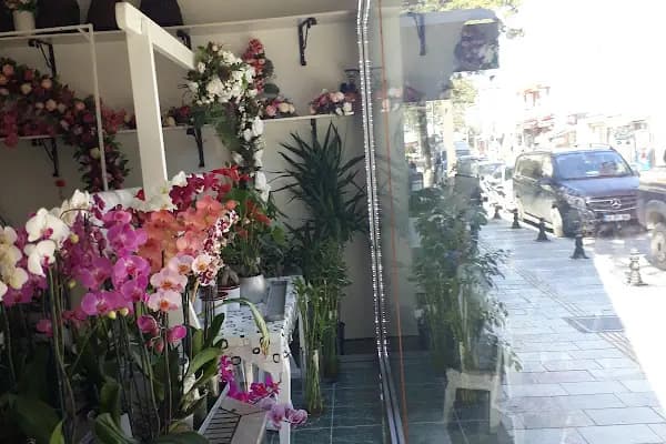 Beyaz Papatya Çiçekçilik - Çiçekçi - Muğla Ortaca