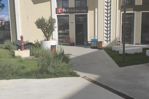 Petshop Petoloji - Evcil hayvan mağazası - Kocaeli Körfez