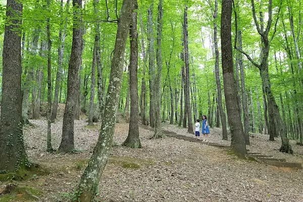 Fatih Çeşmesi Tabiat Parkı - Milli Park - İstanbul Bahçelievler