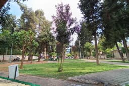 Hacı Mehmet Okan Park