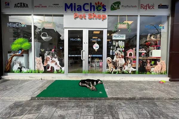 Miachos Petshop - Evcil Hayvan Malzemeleri Mağazası - Kocaeli Darıca