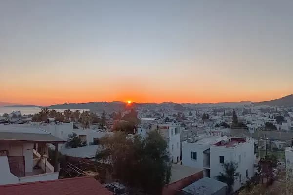 Dostlar Sitesi - Deniz mahsülleri restoranı - Muğla Bodrum