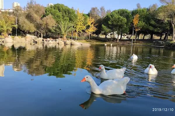 Bahçeşehir Gölet Parkı - Park - İstanbul Başakşehir