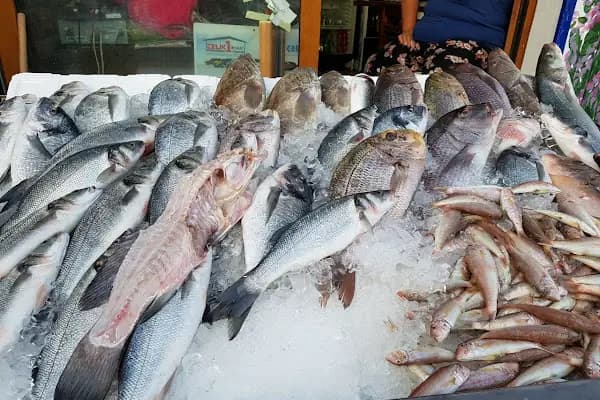 Aquarium Balık Restaurant - Balık Restoranı - Muğla Dalaman