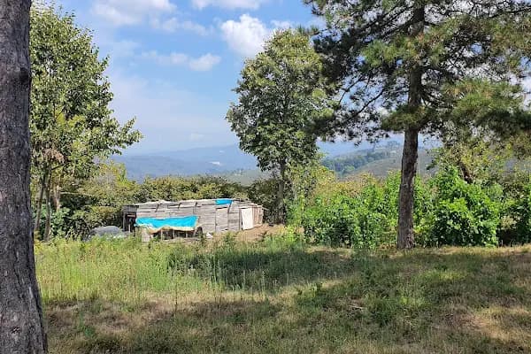 Mezarlık - Mezarlık - Sakarya Kocaali