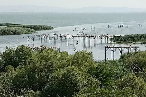 Kuşcenneti Milli Parkı - Ulusal park - Balıkesir Edremit
