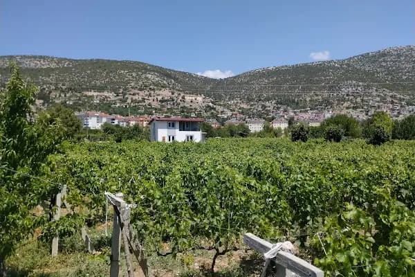 Akseki - Yerleşim Yeri - Antalya Kumluca
