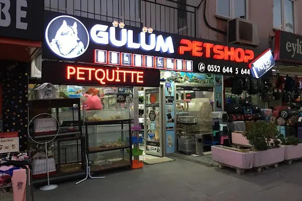 Gülüm Petshop - Evcil hayvan mağazası - Ankara Etimesgut