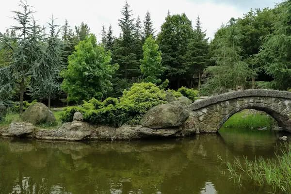 Bayraktepe Tabiat Parkı - Doğa Koruma Alanı - Samsun Canik
