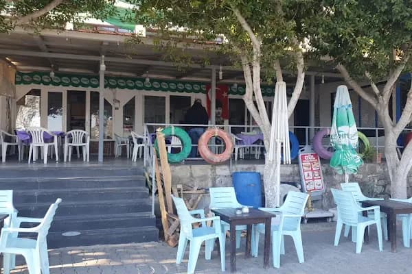 Gül Kıraathanesi - Kafe - Muğla Bodrum