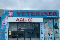 Esenyurt WORLD VETERİNER KLİNİĞİ