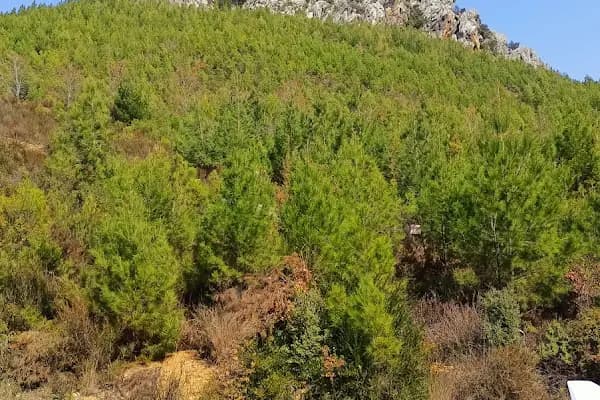 Ovabaşı Köyü Muhtarlığı - Otel - Mersin Yenişehir