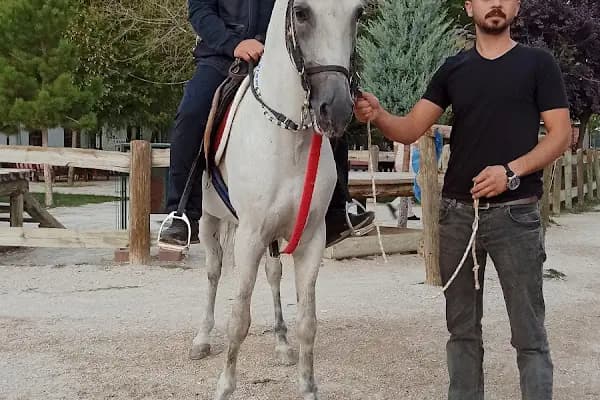 ATLI KONAK BİNİCİLİK - Binicilik Kulübü - Konya Meram