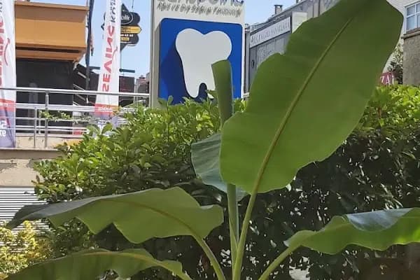 Dentpoint Ağız Ve Diş Sağlığı Polikliniği - Diş Kliniği - İstanbul Ataşehir