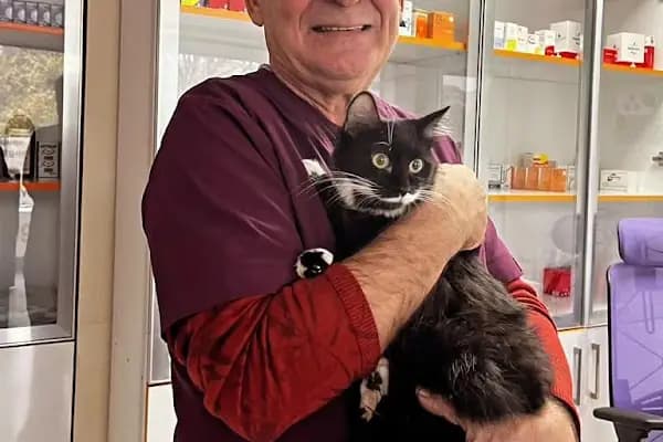 Tek İlaç Veteriner Kliniği - Veteriner - İzmir Aliağa