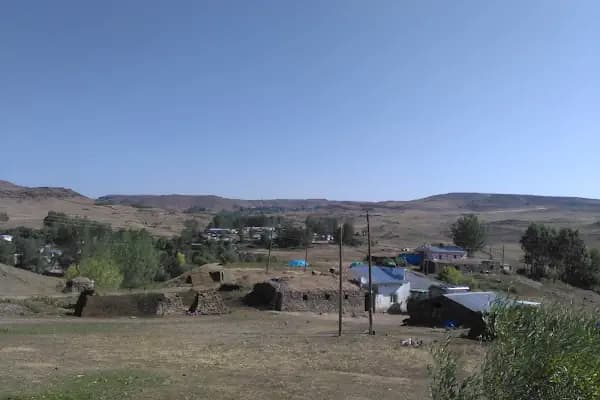 Yerlikavak - Yerleşim Yeri - Kars Akyaka