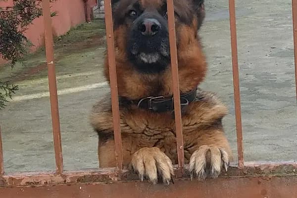 Gazi Osman Paşa Mahallesi Çocuk Parkı - Park - Tekirdağ Ergene
