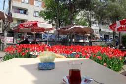 Piri Reis Parkı
