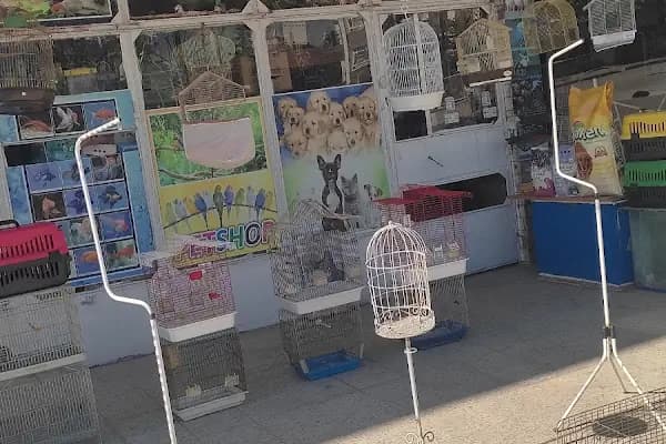 Burkan Pet Shop - Evcil hayvan mağazası - Ankara Çankaya