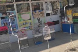 Burkan Pet Shop