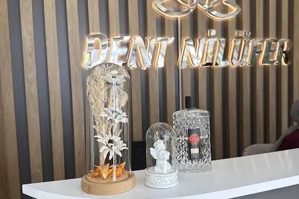 Dent Nilüfer Ağız ve Diş Sağlığı Merkezi - Diş Kliniği - Bursa Mudanya