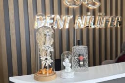 Dent Nilüfer Ağız ve Diş Sağlığı Merkezi