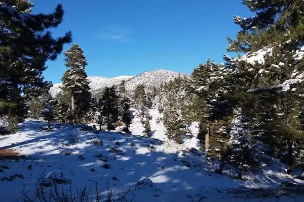 Kocayayla doga koruma ve milli park - Milli Park - Adana Kozan