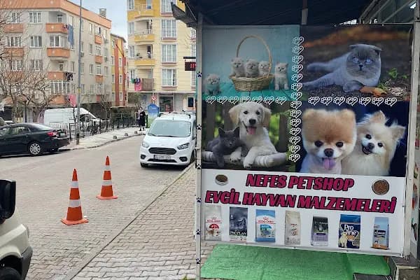 Nefes petshop - Evcil hayvan mağazası - İstanbul Çatalca