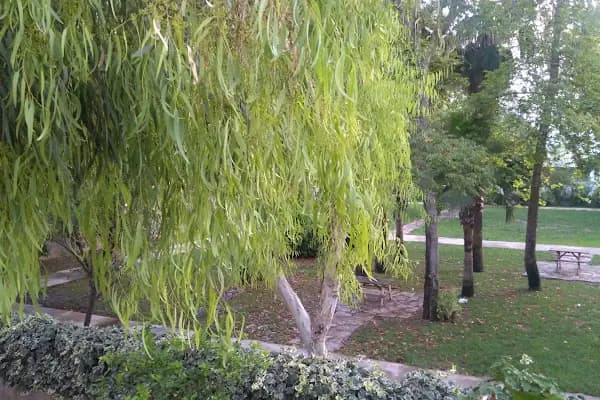 Çocuk Bahçesi - Park - Antalya Muratpaşa