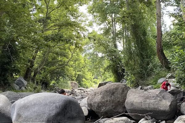 Şelale Alabalık Piknik ve Mesire Yeri - Balık Restoranı - Samsun İlkadım