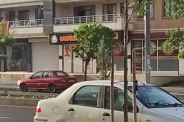 Garfield Veteriner Kliniği | Diyarbakır - Veteriner - Diyarbakır Yenişehir