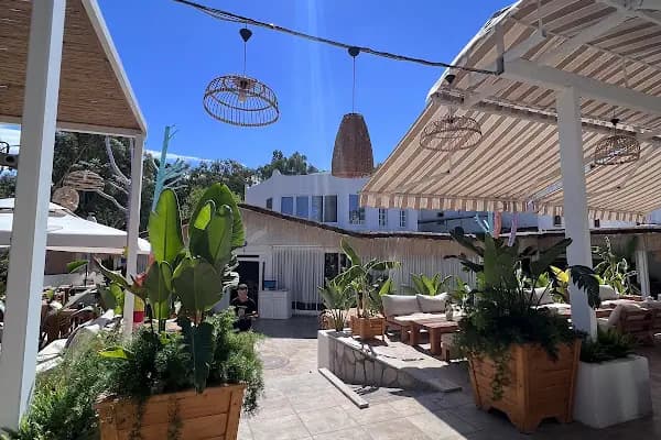 Bamboo house - Restoran - Muğla Bodrum