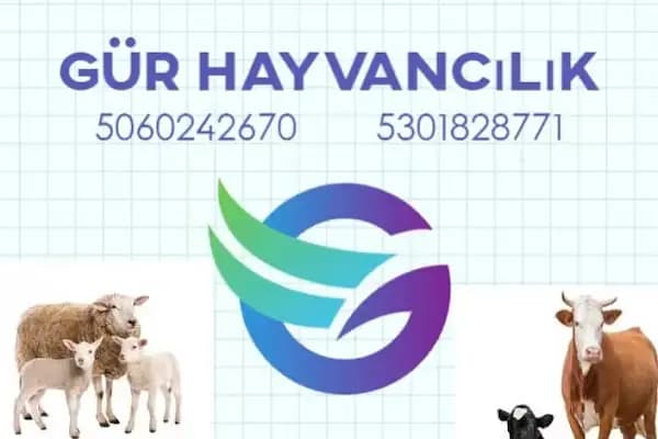Gür Hayvancılık - Apartman Kompleksi - Balıkesir Karesi