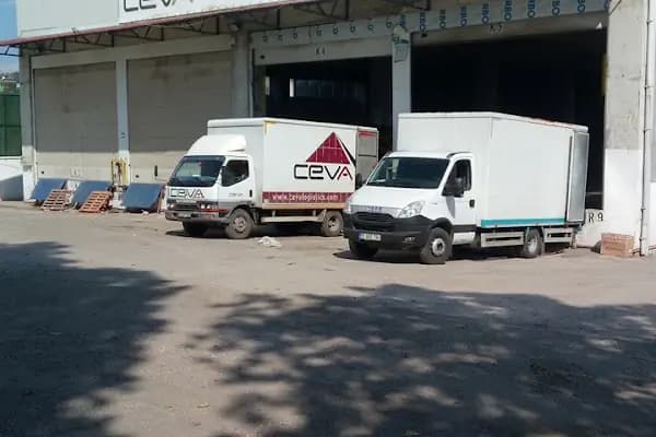 Ceva Lojistik - Karadeniz Bölge Müdürlüğü - Lojistik Firması - Samsun Tekkeköy