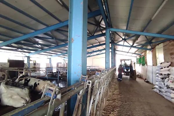 Arı Modern Süt Çiftliği - Büyükbaş Hayvan Çiftliği - Bursa Gürsu