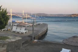 YollucaKamp