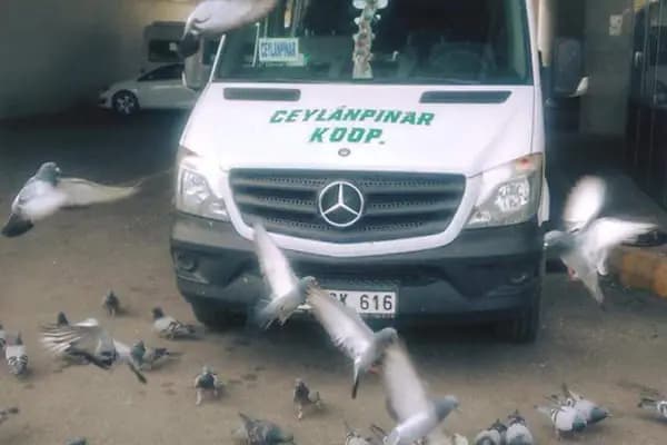Setur Kalamış &amp; Fenerbahçe Marina - Marina - Şanlıurfa Ceylanpınar