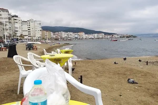 Özel Arı Sitesi - Konut Geliştirme - Bursa Gemlik